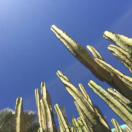 דירה Sunrise - *